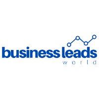 Business Leads World image 1